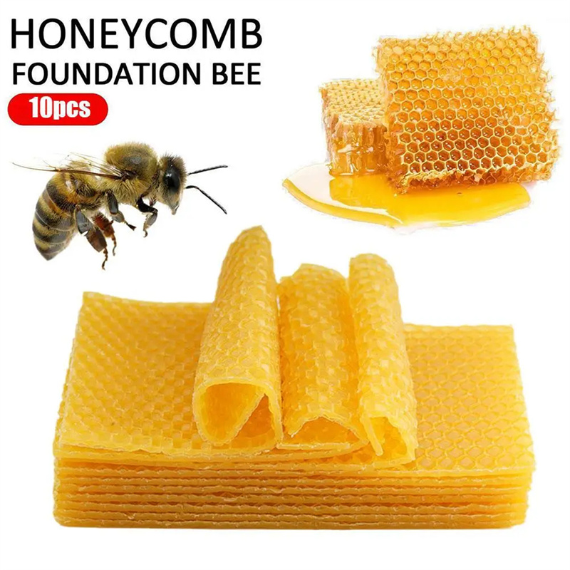 10/20개 천연 밀랍 시트 벌집 시트 벌집 셀 프레임 - Candle Supplies Beeswax 리뷰 및 가격