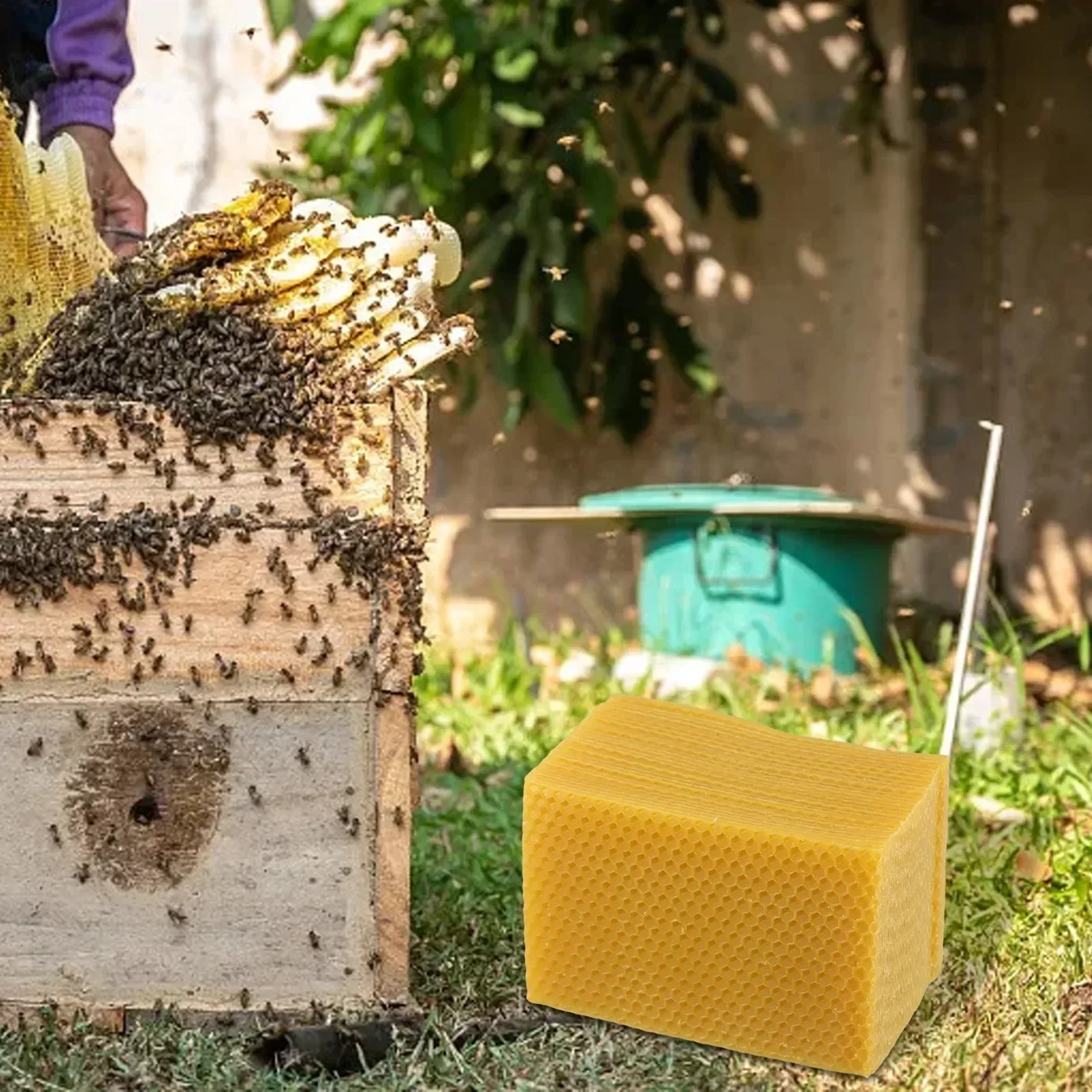 Beehive 용품 Beehive 재단 DIY 공예 5 - Candle Supplies Beeswax 리뷰 및 가격